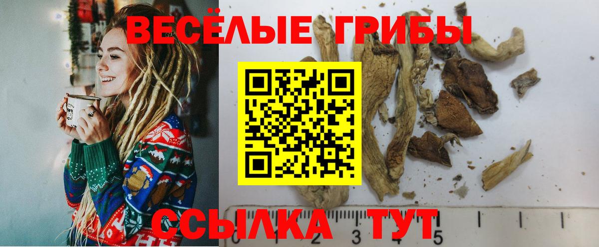 Псилоцибиновые грибы MAGIC MUSHROOMS  Вход с VPN  Выкса  Галлюциногенные грибы ЛСД 